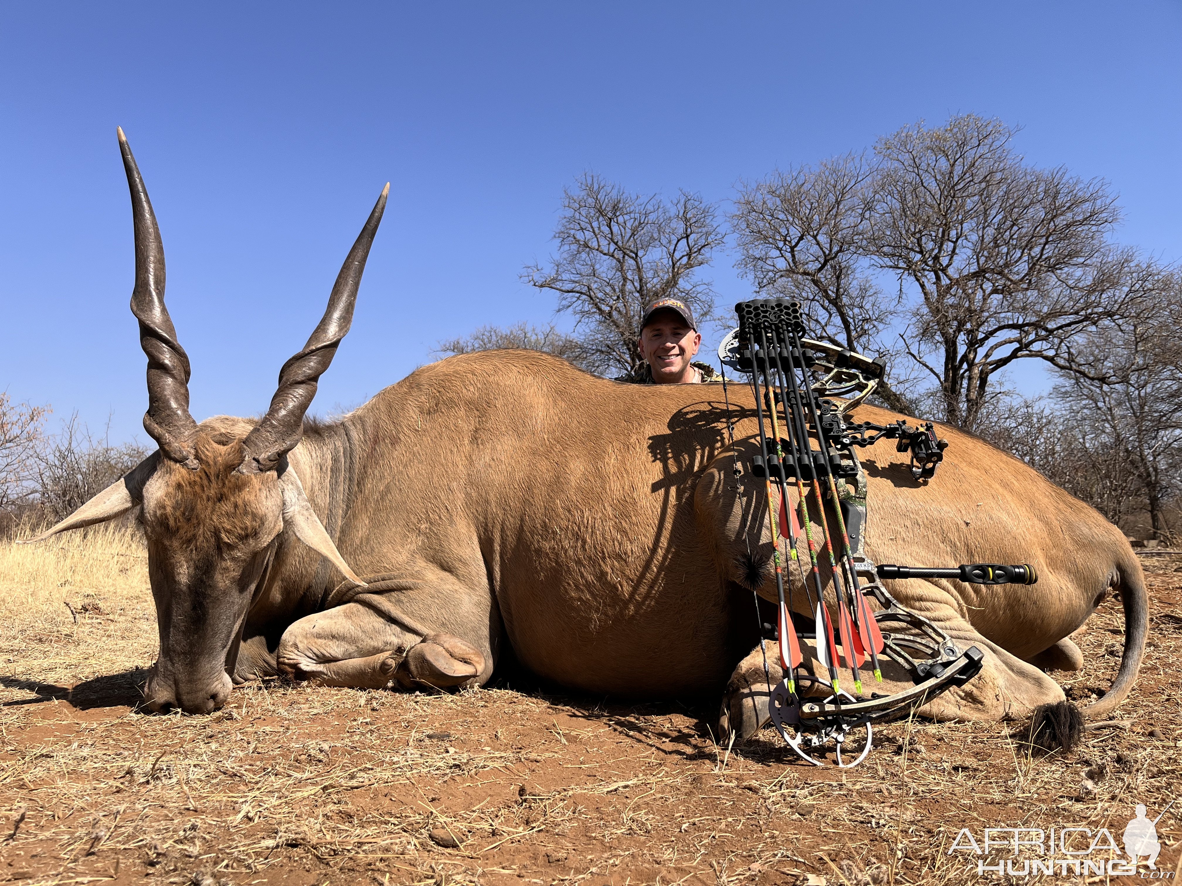 Eland taken at 17 yards at Doornrand Safaris