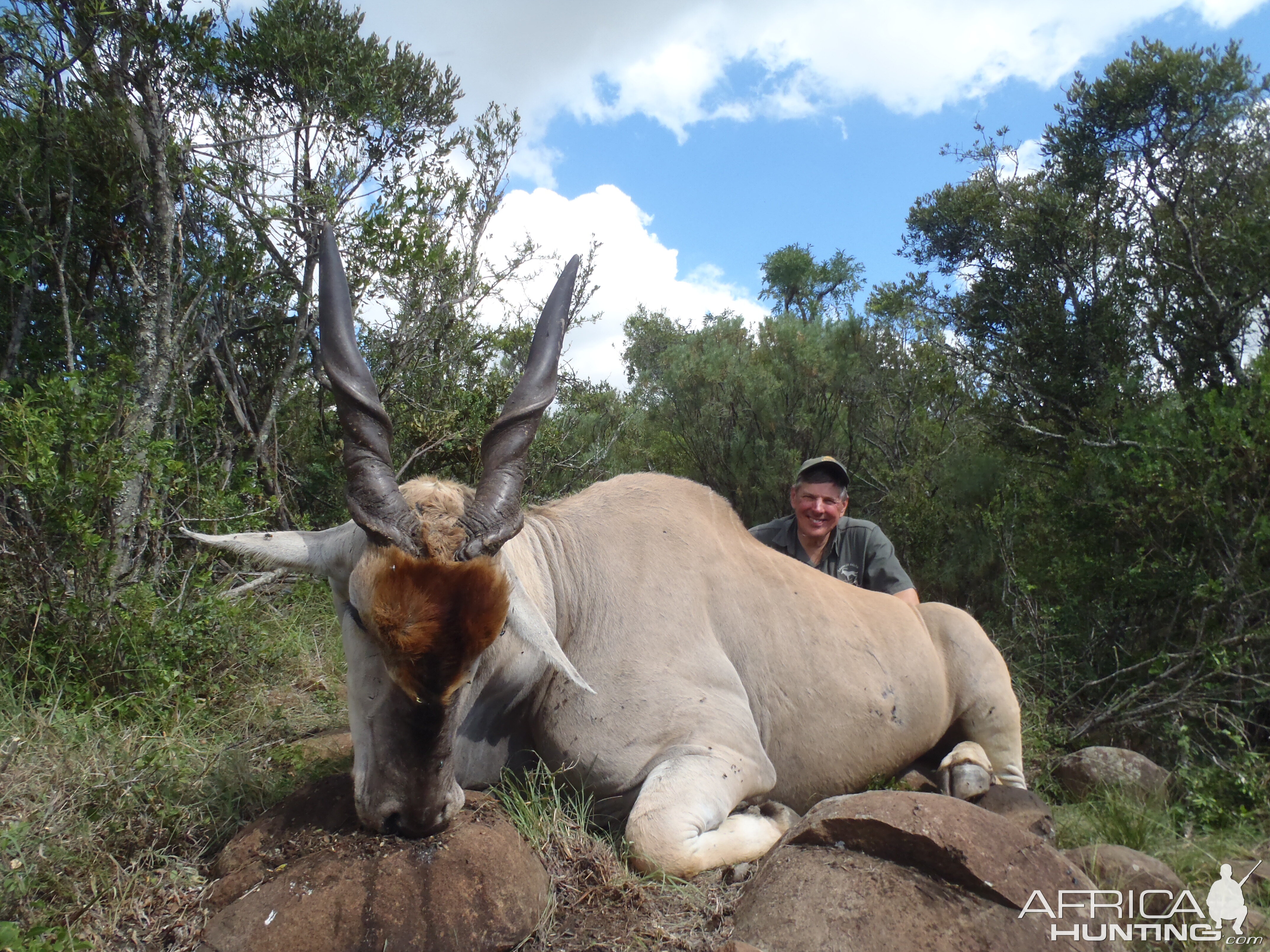 Eland with John X Safaris