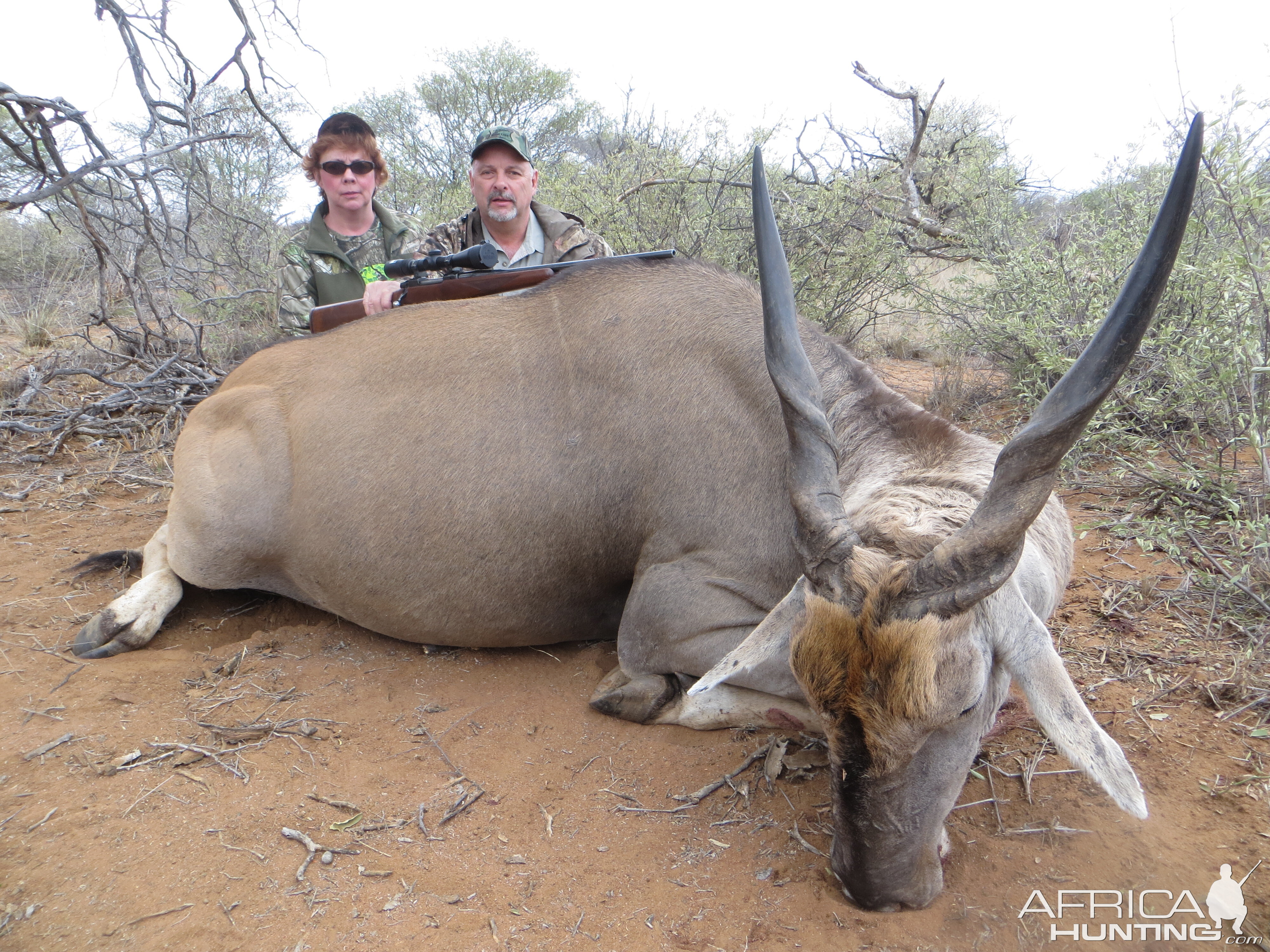 Eland with Limcroma Safaris