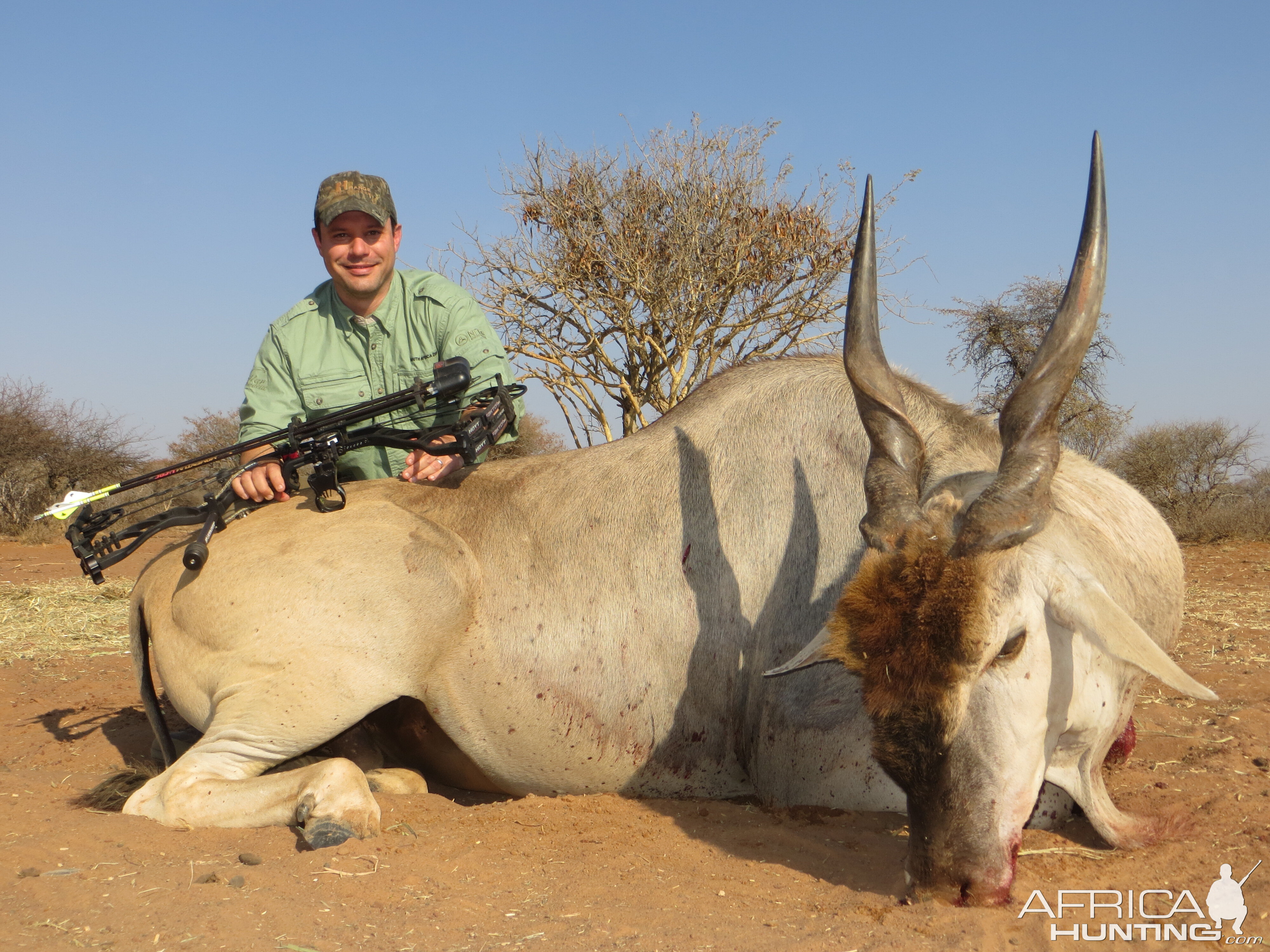 Eland with Limcroma Safaris