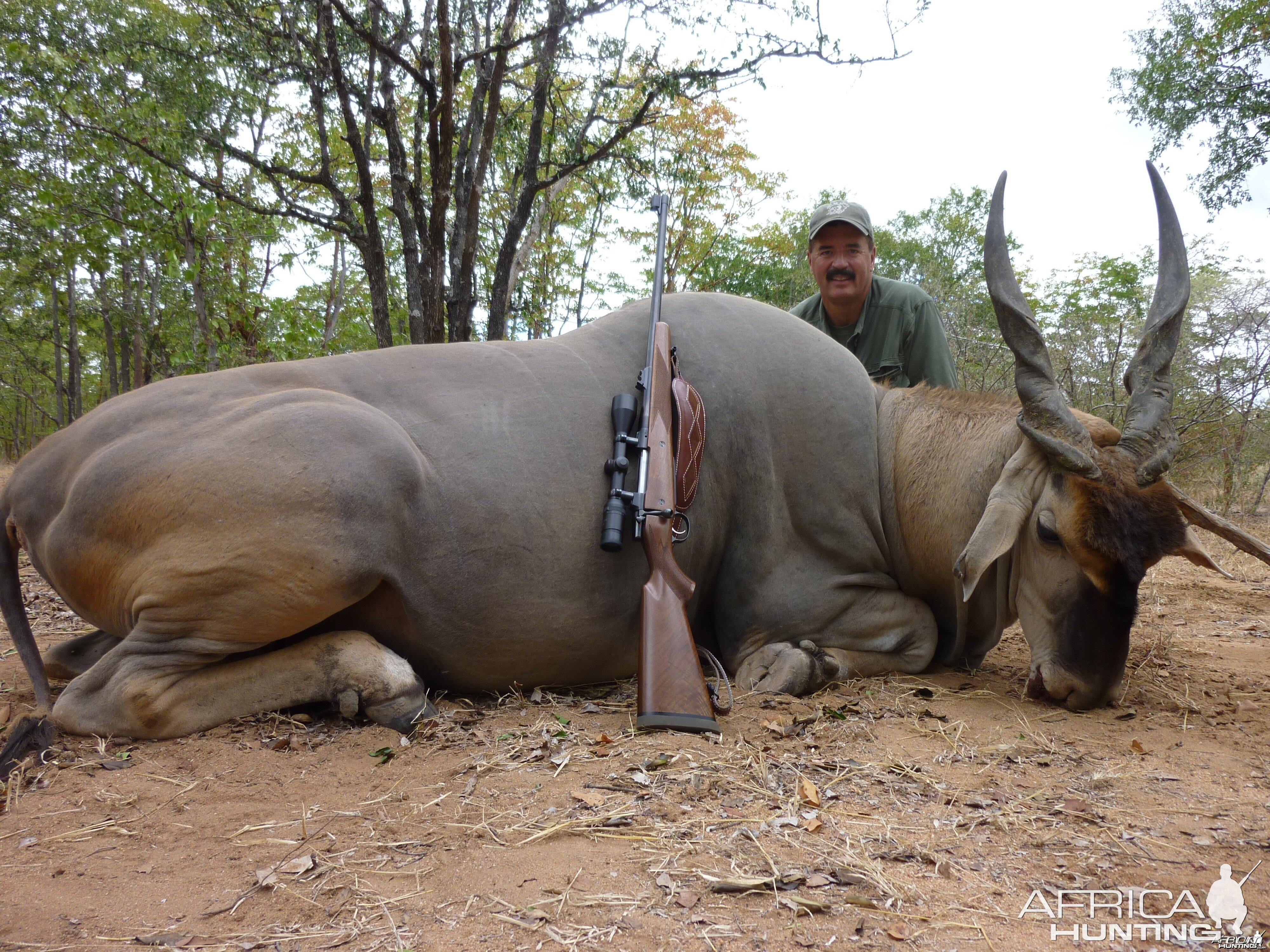 Eland Zim 2010