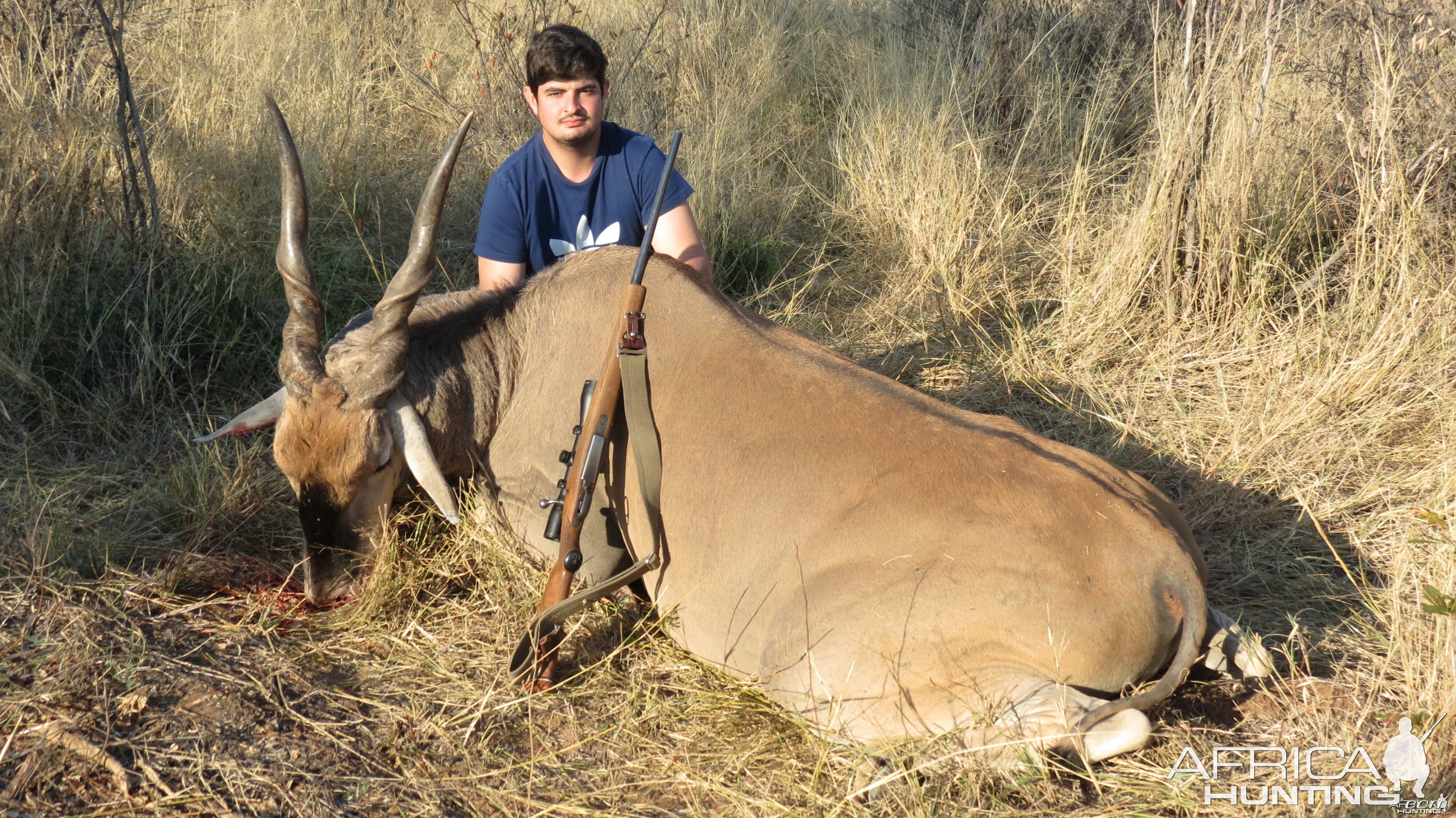 Eland