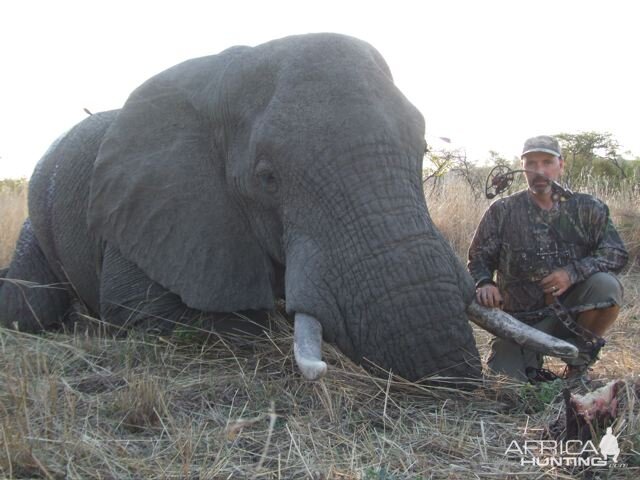 Elephant Bow Hunt