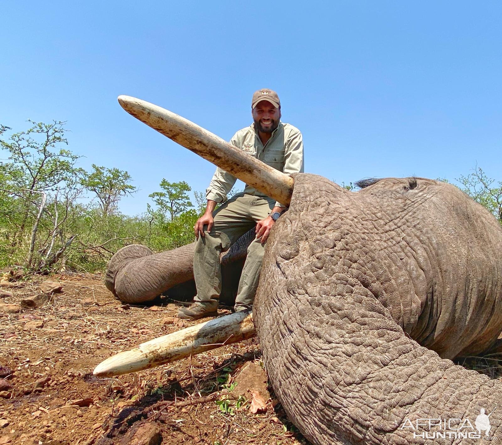 Elephant bull down Zimbabwe