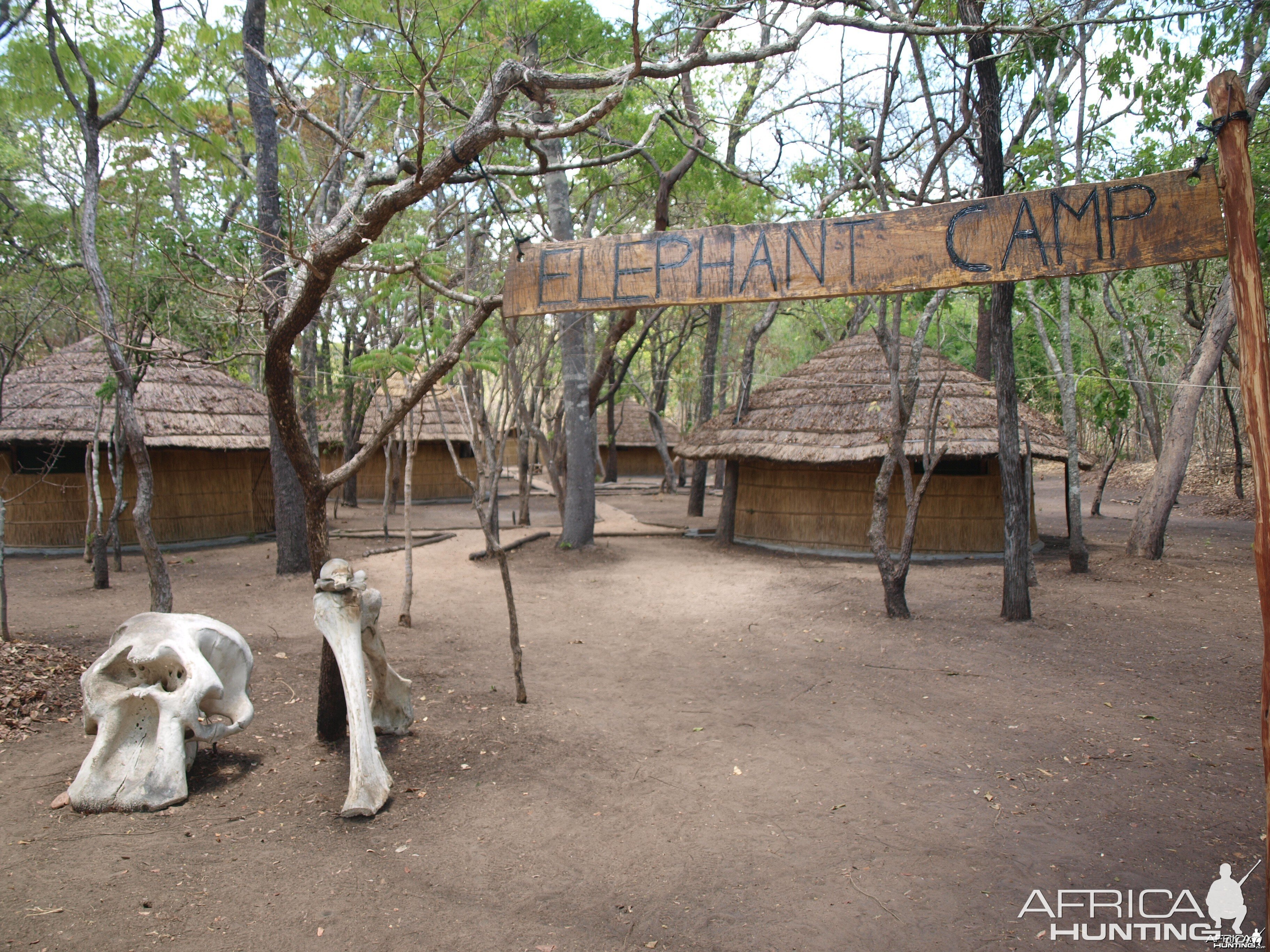 Elephant Camp