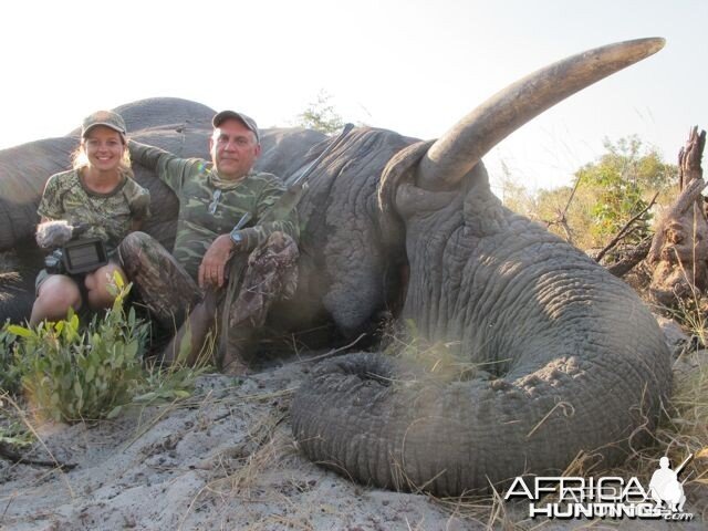 Elephant Caprivi