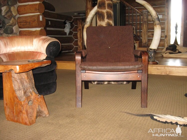 Elephant Chair Taxidermy