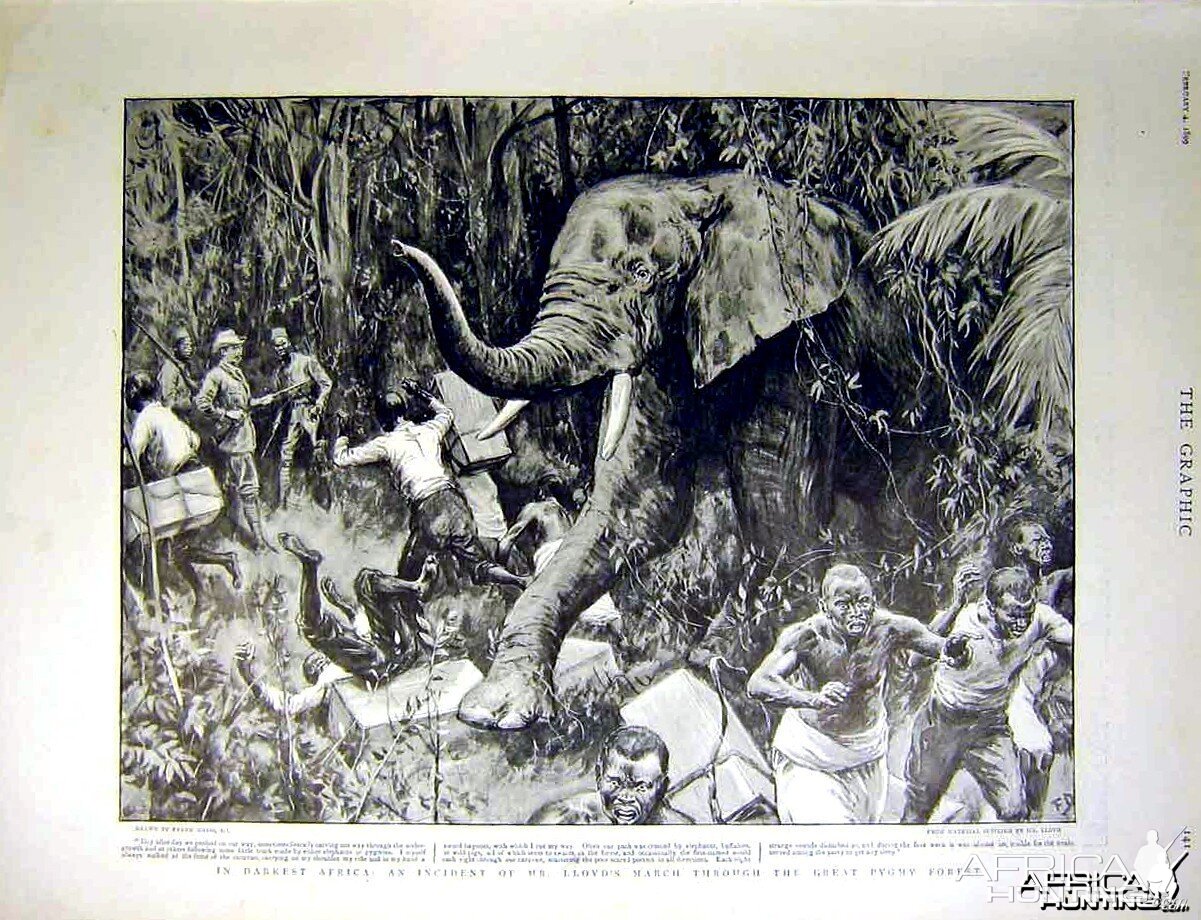 Elephant Charge