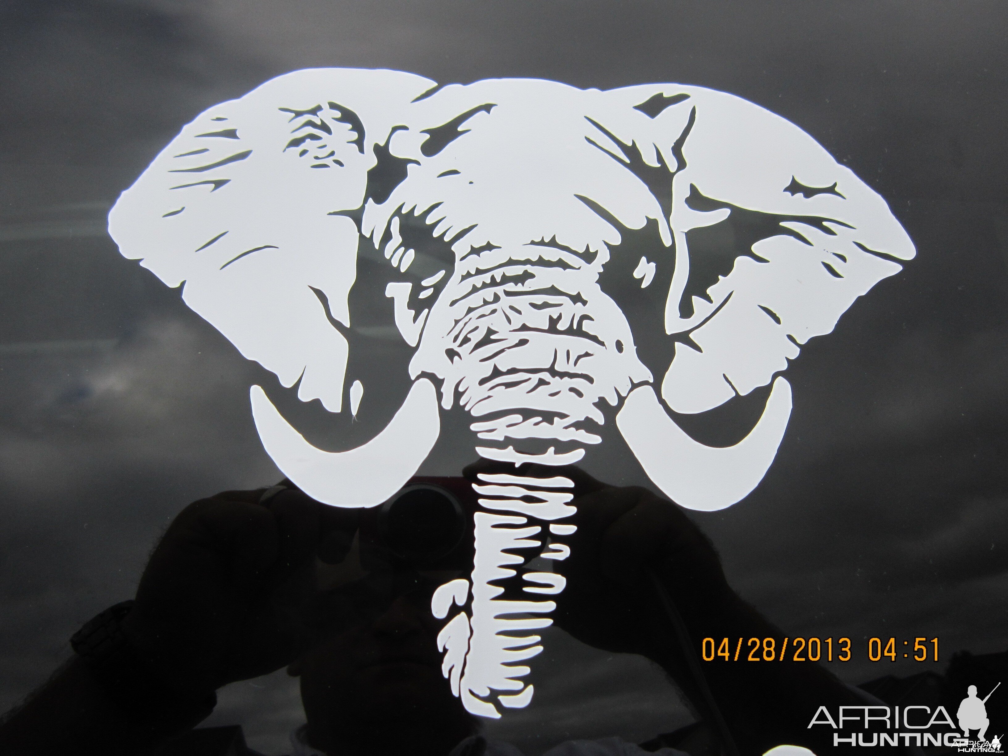 Elephant Decal Stickers