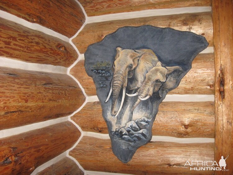 Elephant Ear Taxidermy