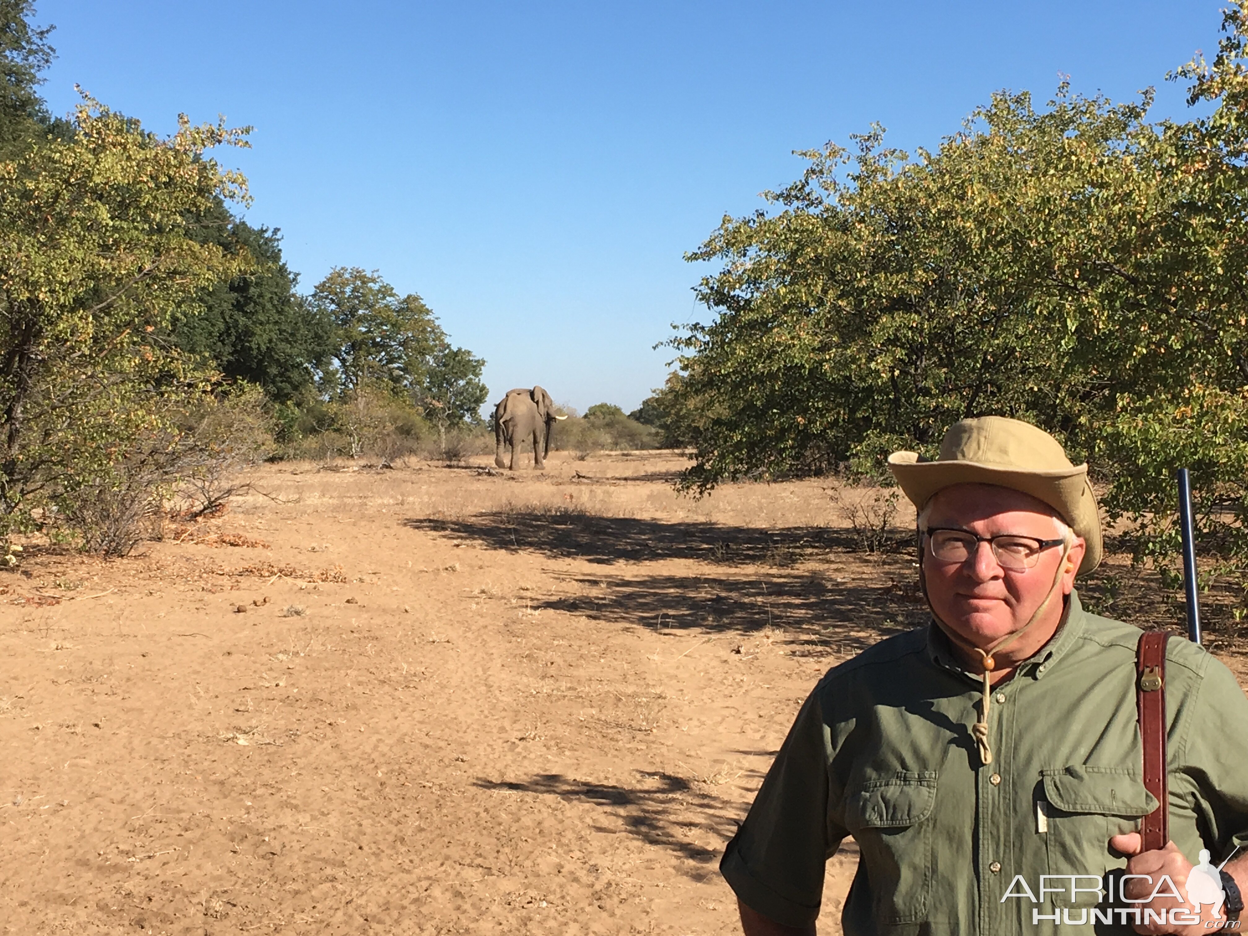 Elephant encounter while hunting