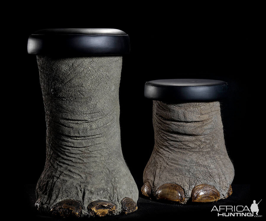 Elephant Foot Stools