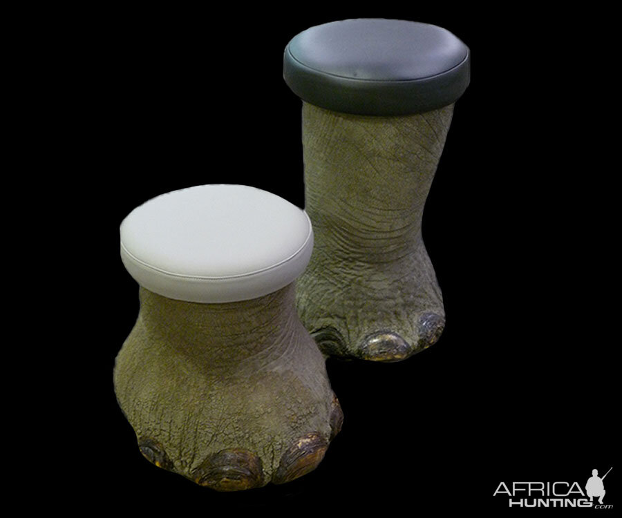 Elephant Foot Stools