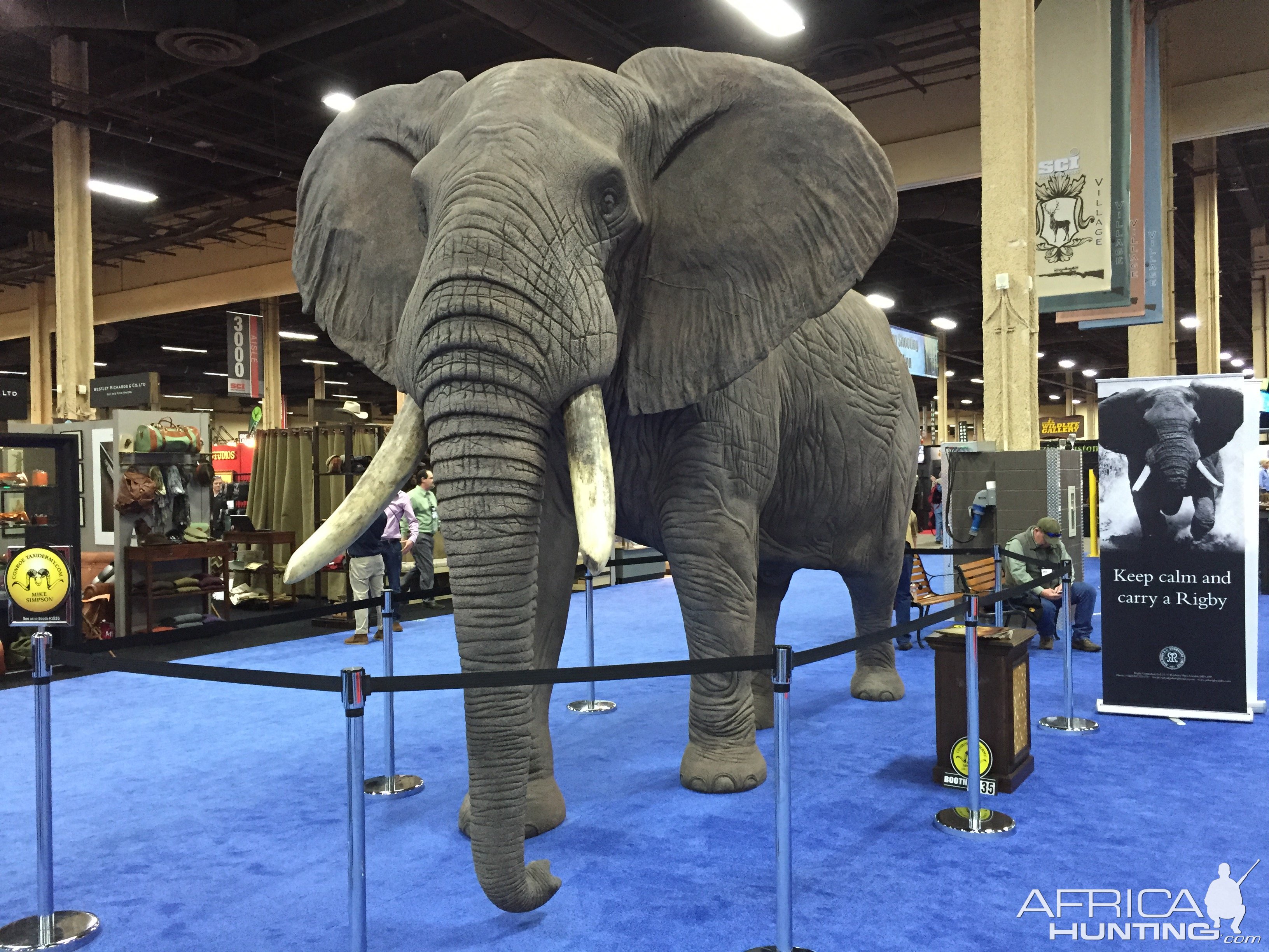 Elephant full mount taxidermy