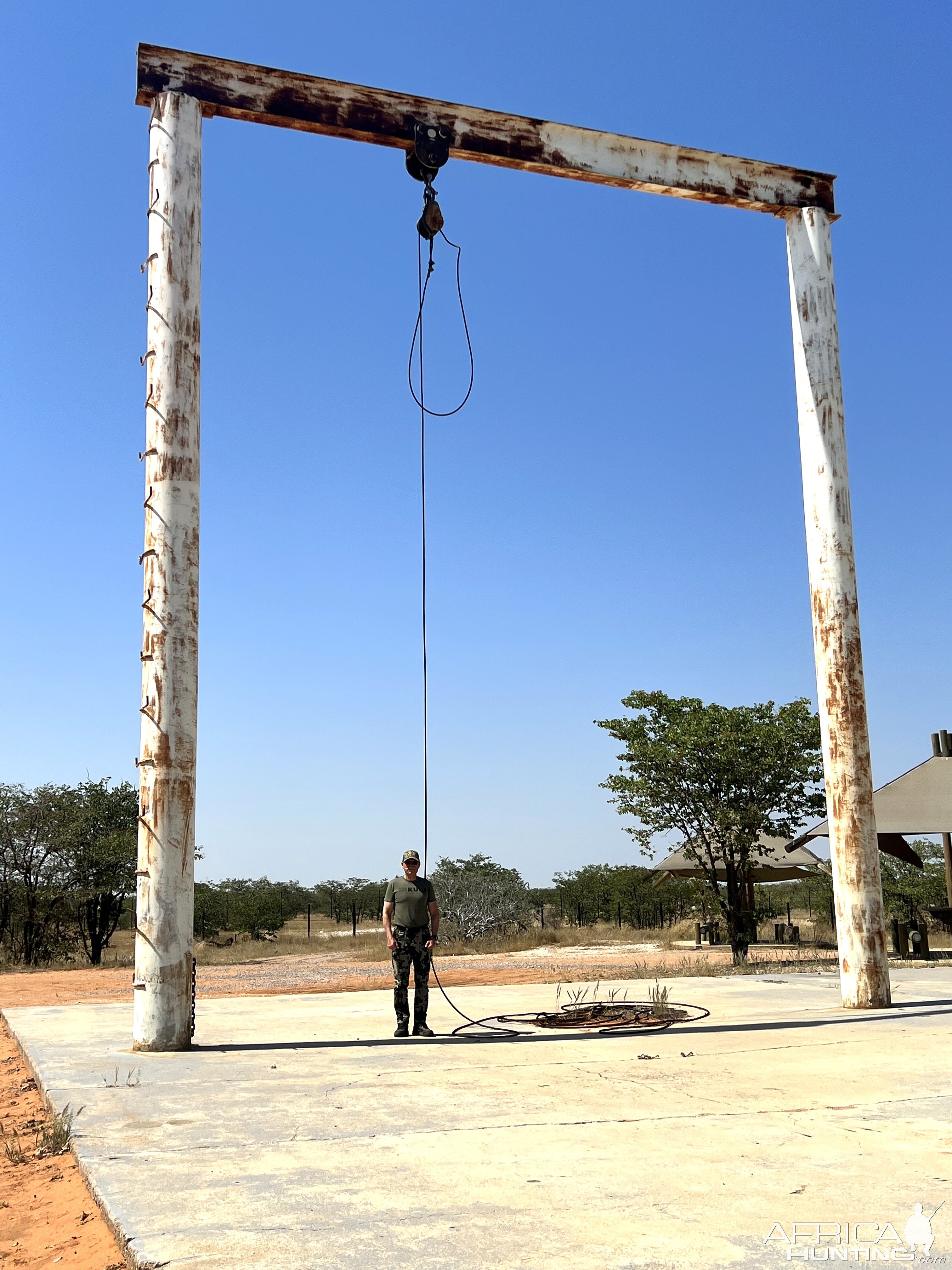 Elephant Hoist Etosha Namibia