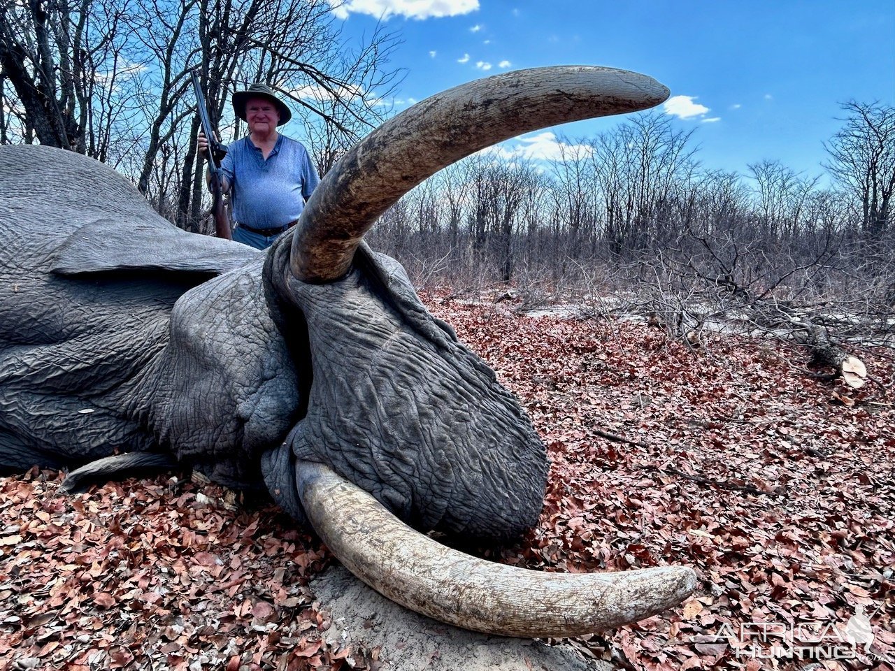 Elephant Hunt Botswana