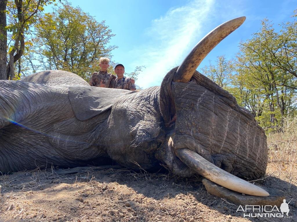 Elephant Hunt Bulawayo Zimbabwe