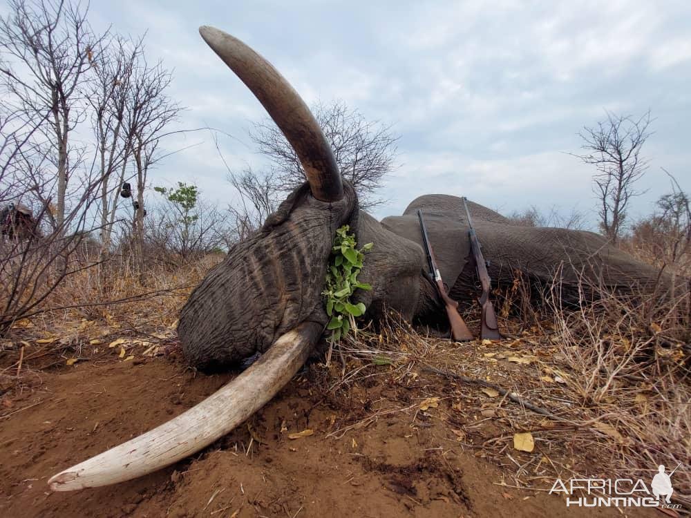 Elephant Hunt Bwabwata West Namibia