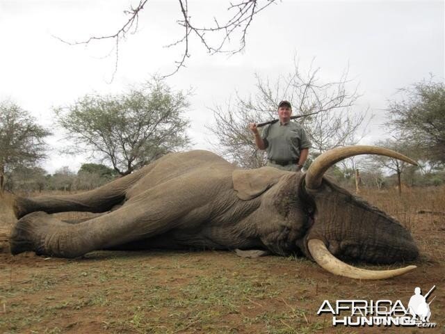 Elephant Hunt in Save Valley Conservancy Zimbabwe