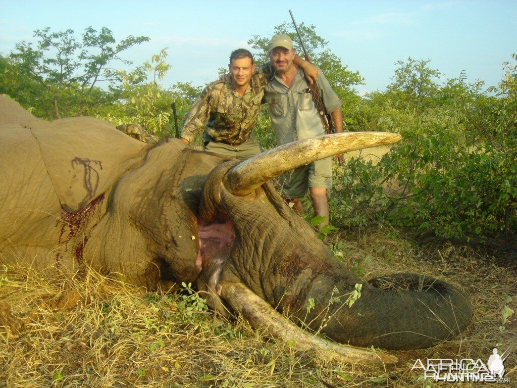 Elephant hunt in South Africa