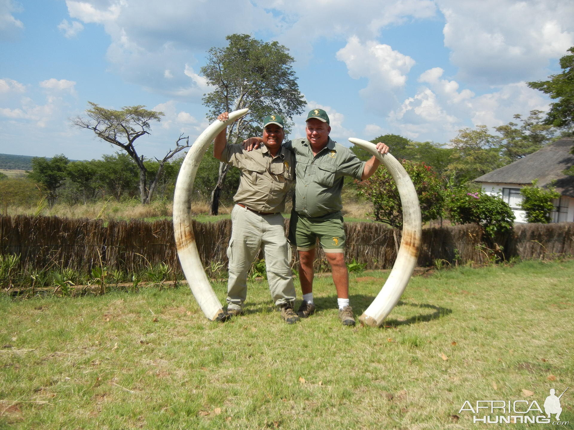 Elephant Hunt in Zimbabwe