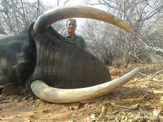 Elephant Hunt in Zimbabwe