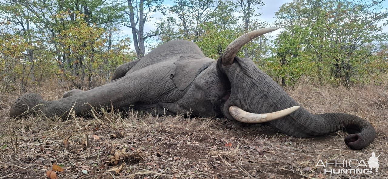 Elephant Hunt Klasserie Private Nature Reserve  South Africa