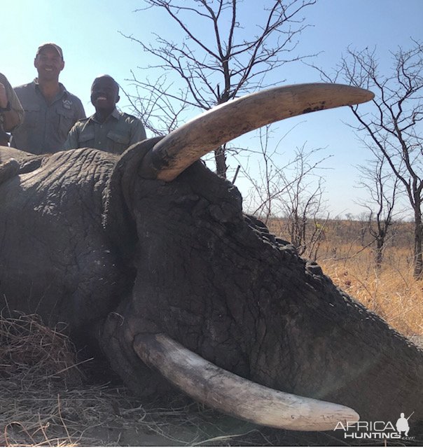 Elephant Hunt Matetsi Zimbabwe