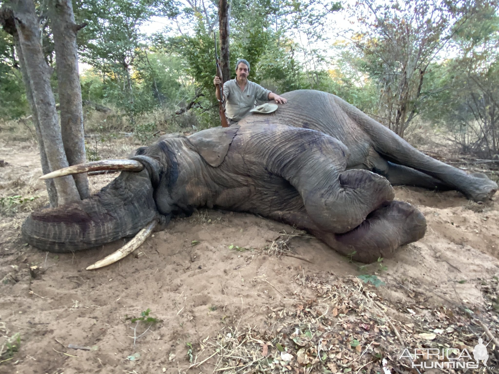 Elephant Hunt Matetsi Zimbabwe