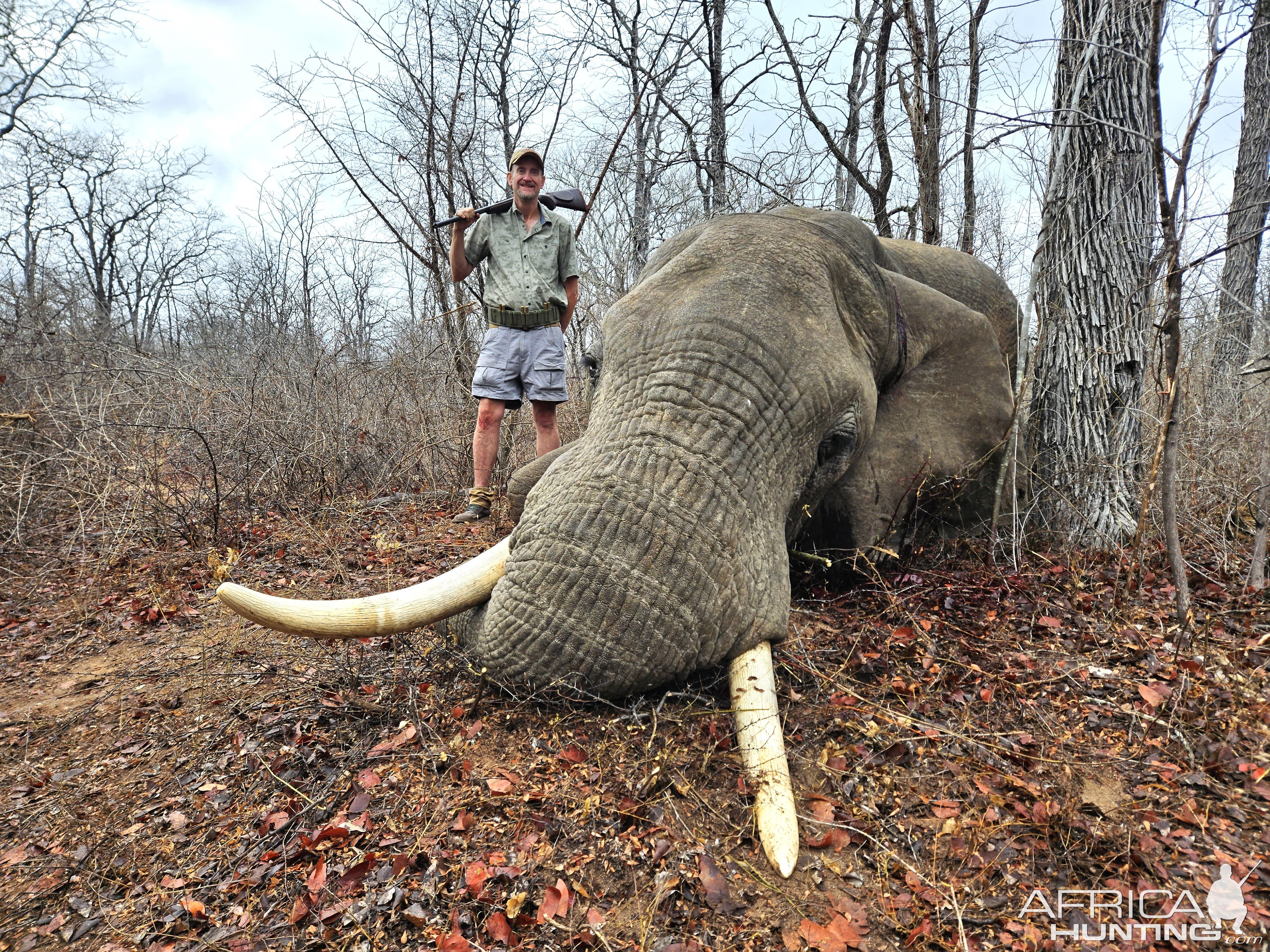 Elephant Hunt Mozambique