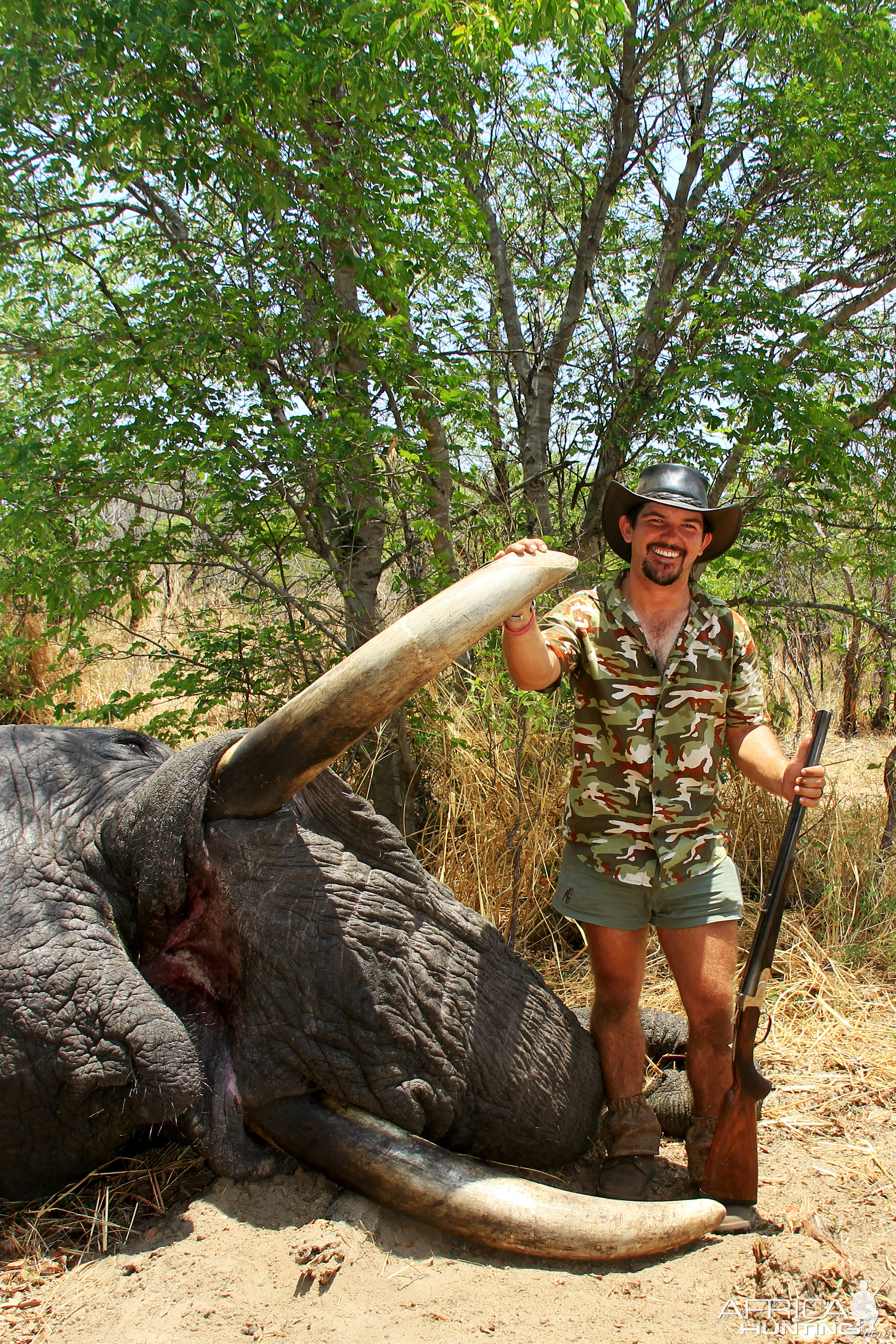 Elephant Hunt Namibia