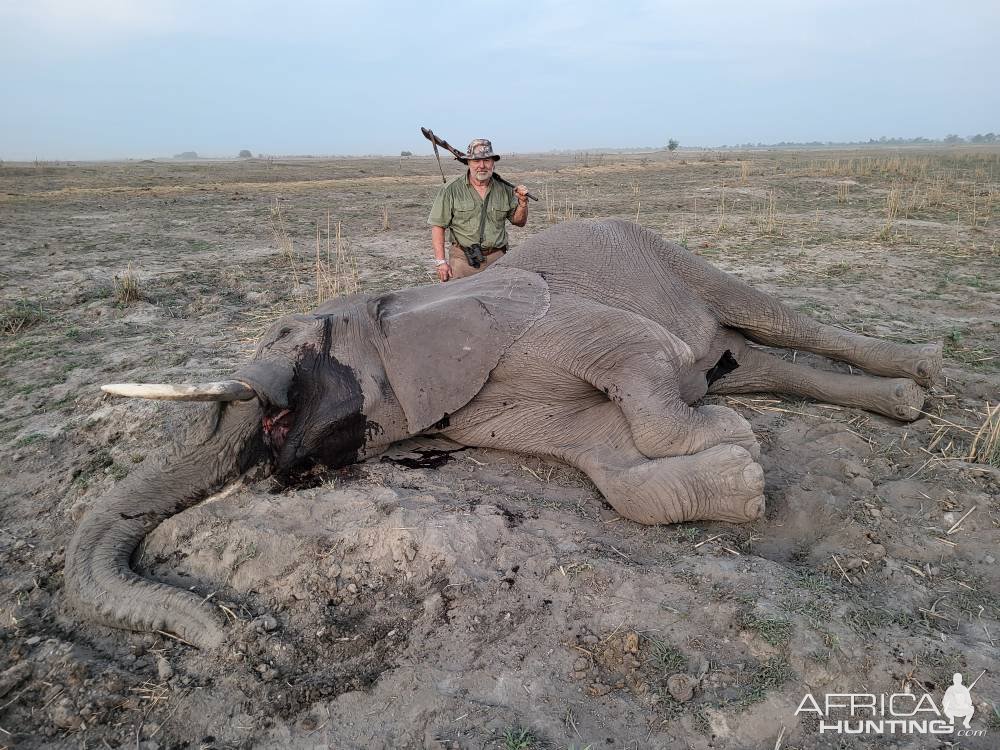 Elephant Hunt Namibia