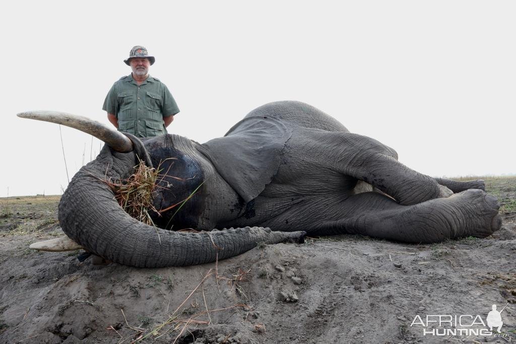 Elephant Hunt Namibia