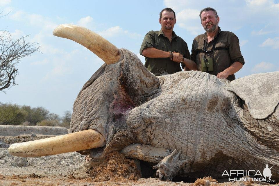 Elephant Hunt Namibia