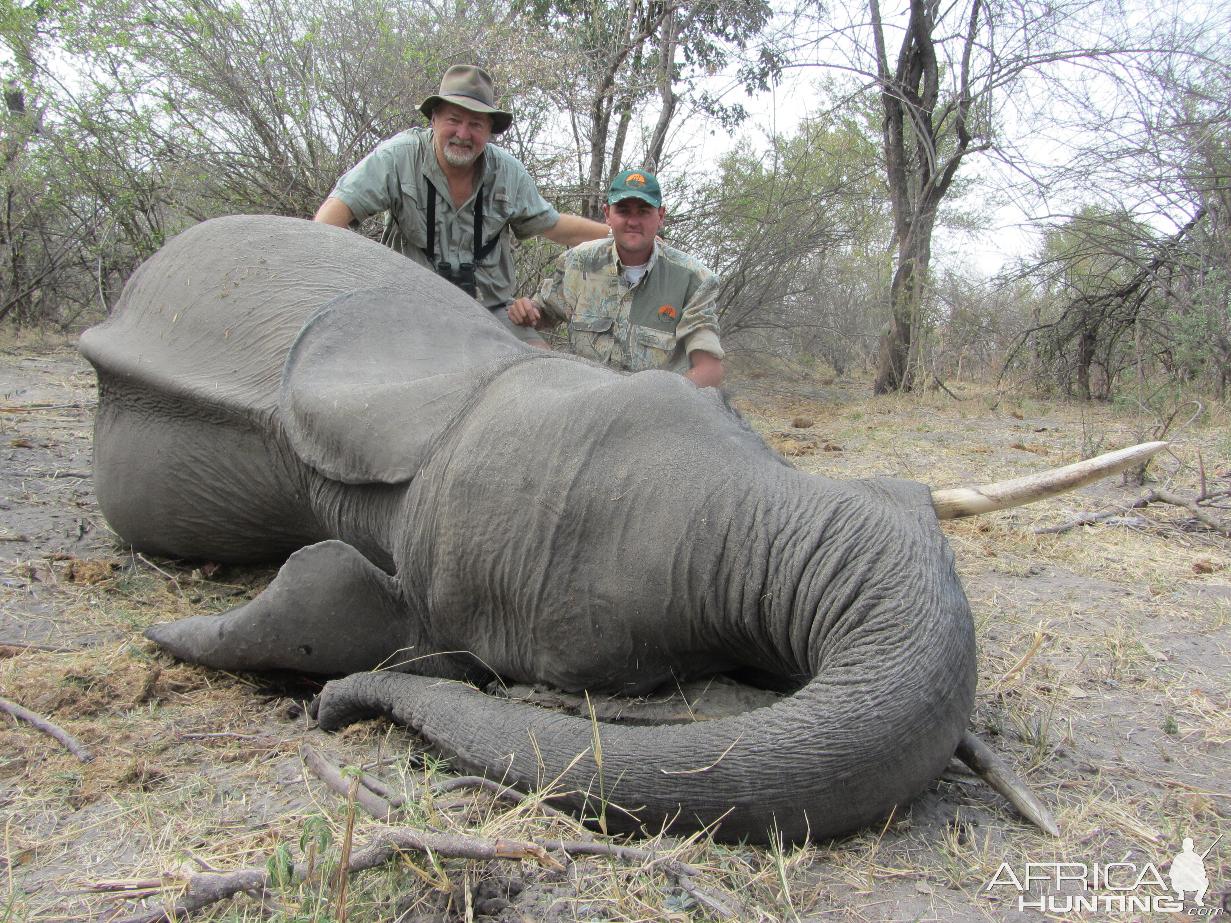 Elephant Hunt Namibia