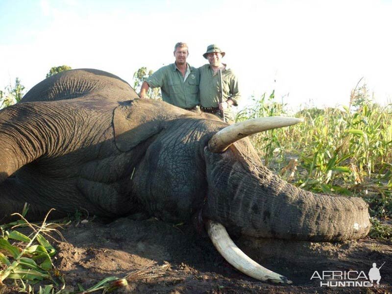 Elephant Hunt Namibia