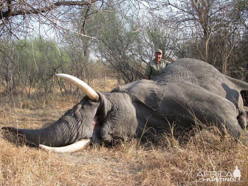 Elephant Hunt Namibia