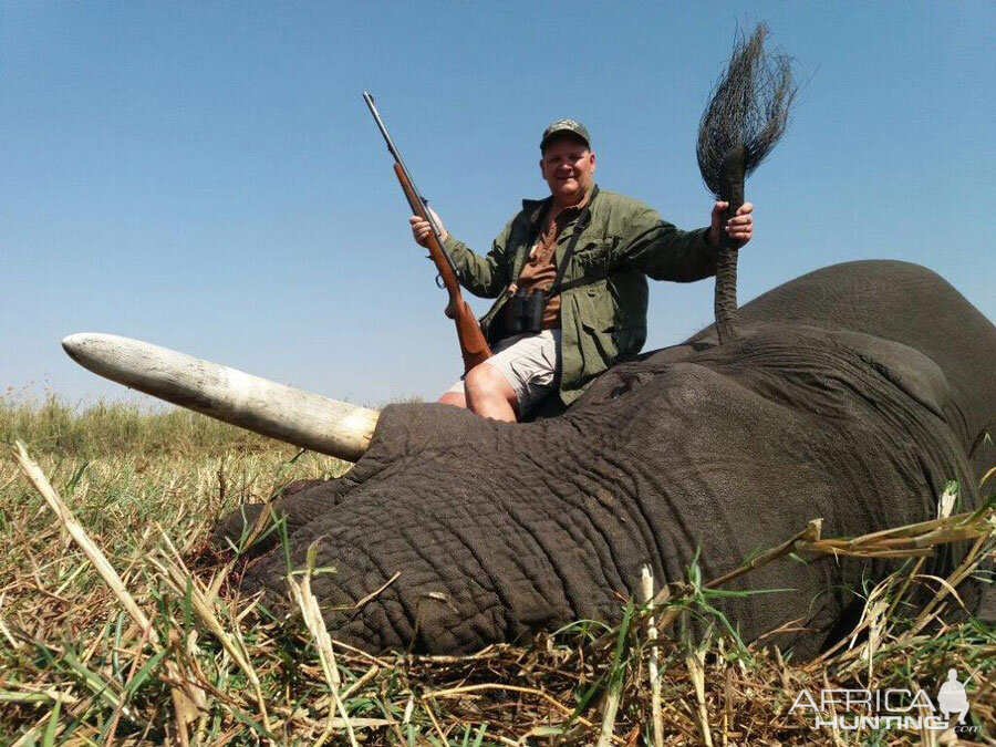 Elephant Hunt Namibia