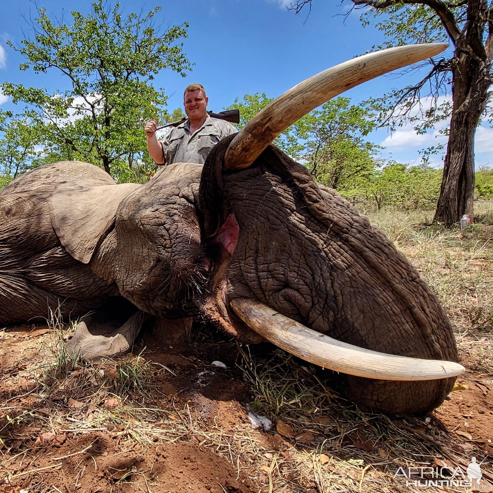 Elephant Hunt South Africa