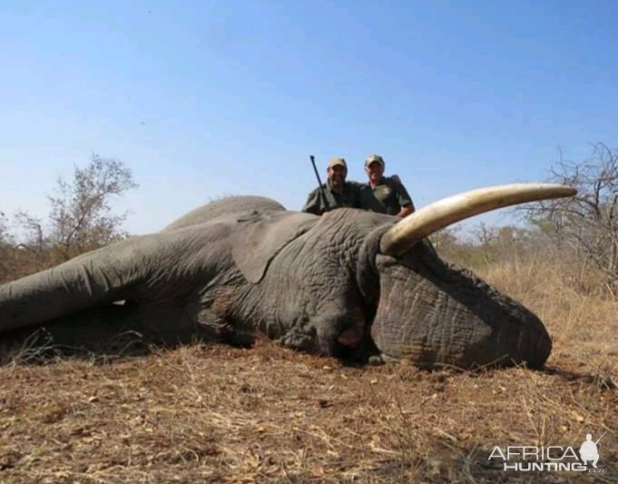 Elephant Hunt South Africa