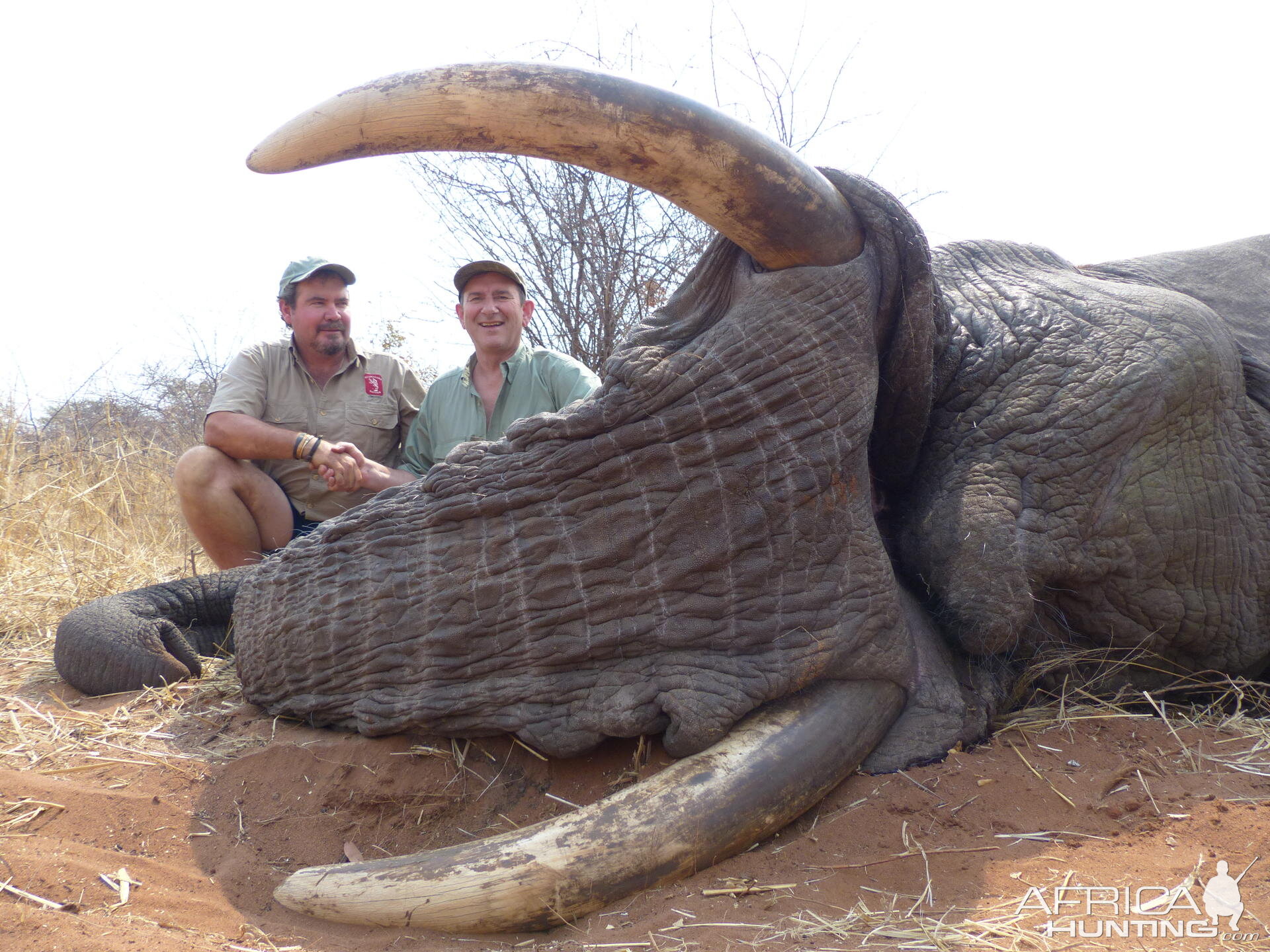 Elephant Hunt South Africa