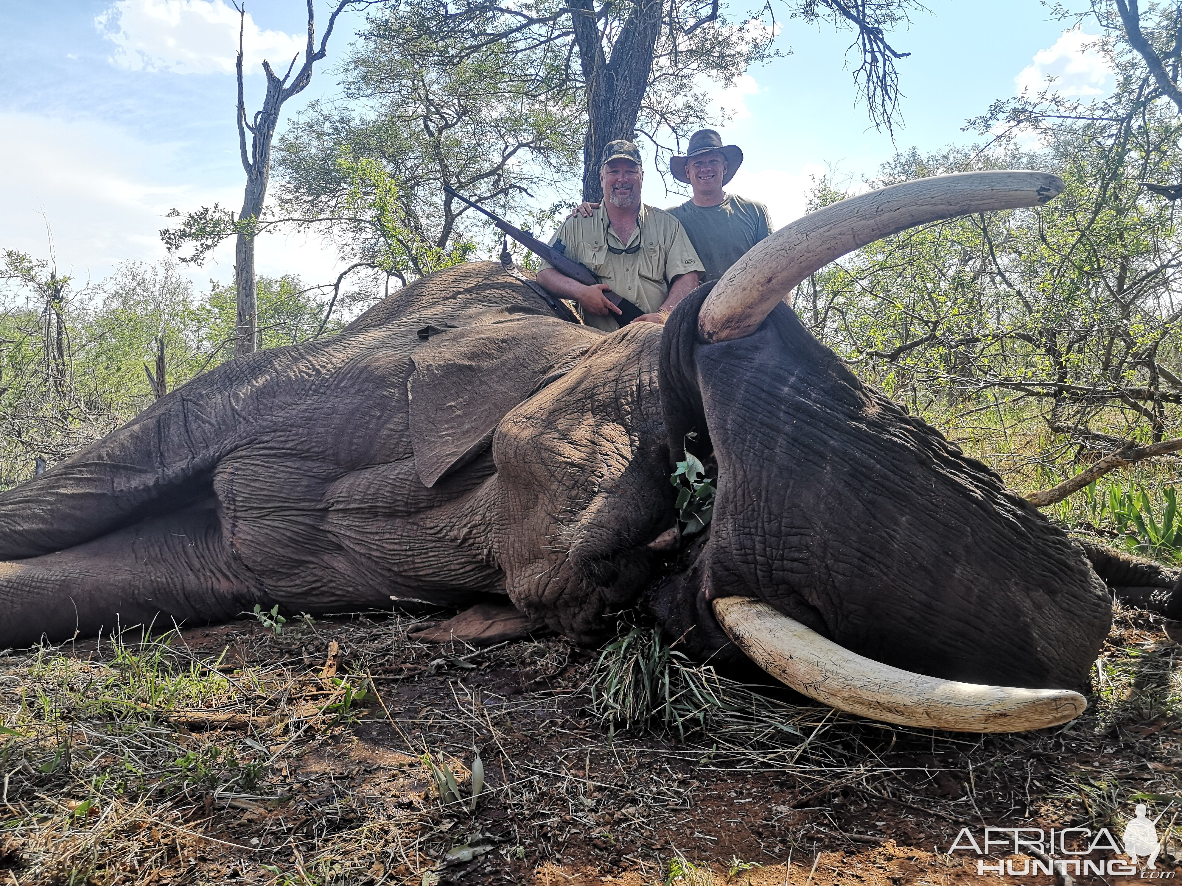 Elephant Hunt South Africa