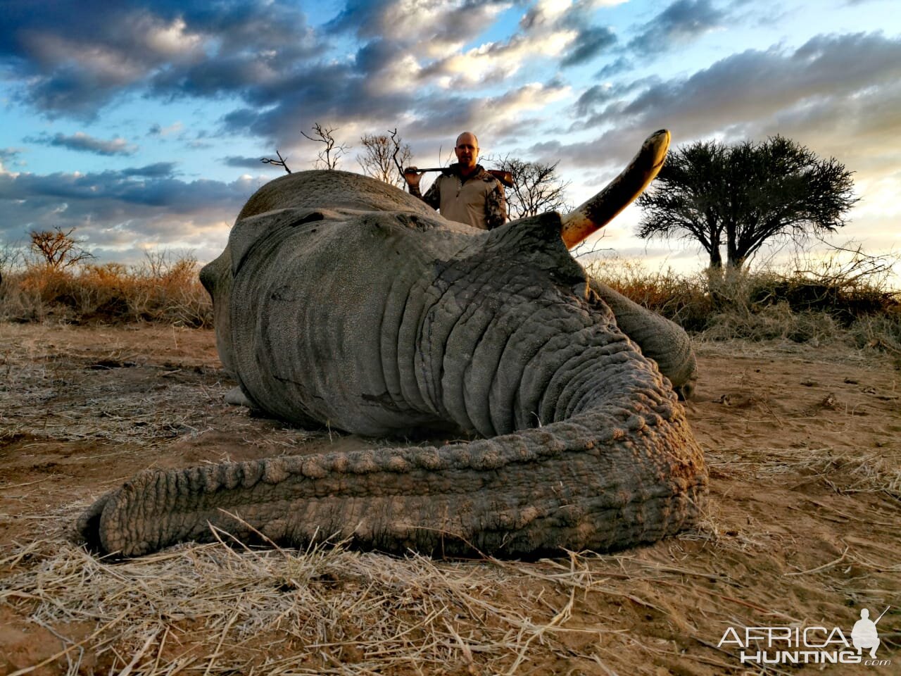 Elephant Hunt South Africa