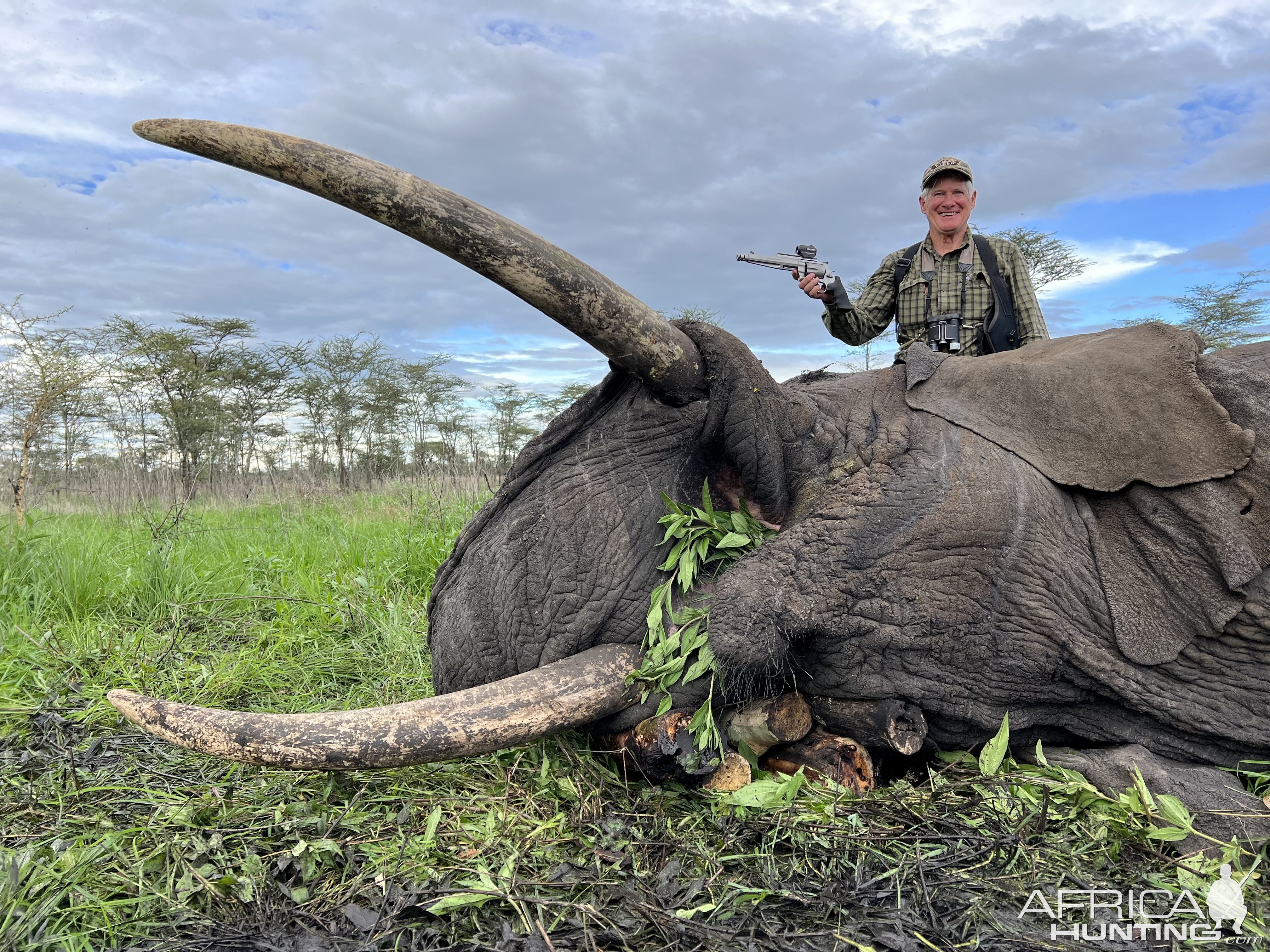 Elephant Hunt Tanzania