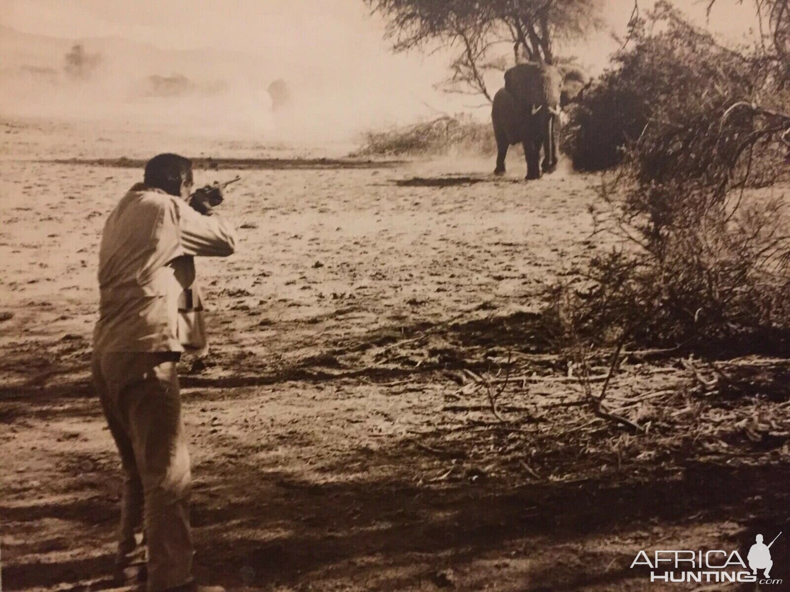 Elephant Hunt with John Wayne Hatari