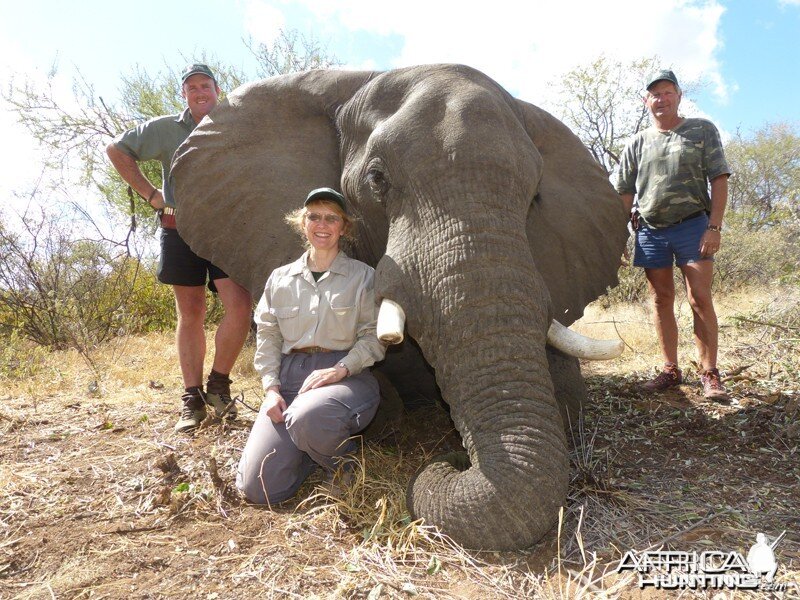 Elephant hunt with Wintershoek Johnny Vivier Safaris