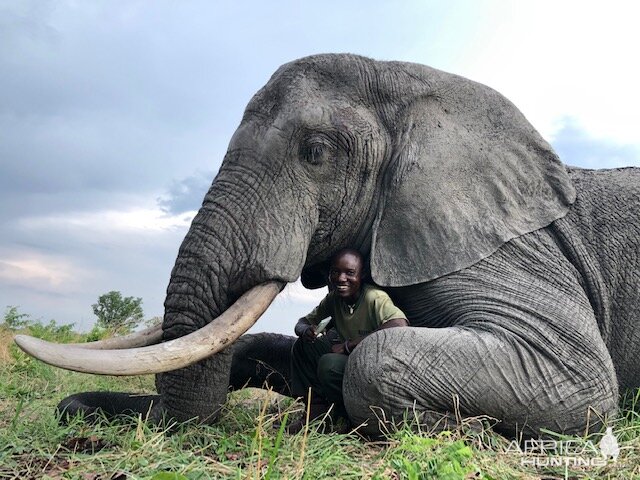 Elephant Hunt Zimbabwe