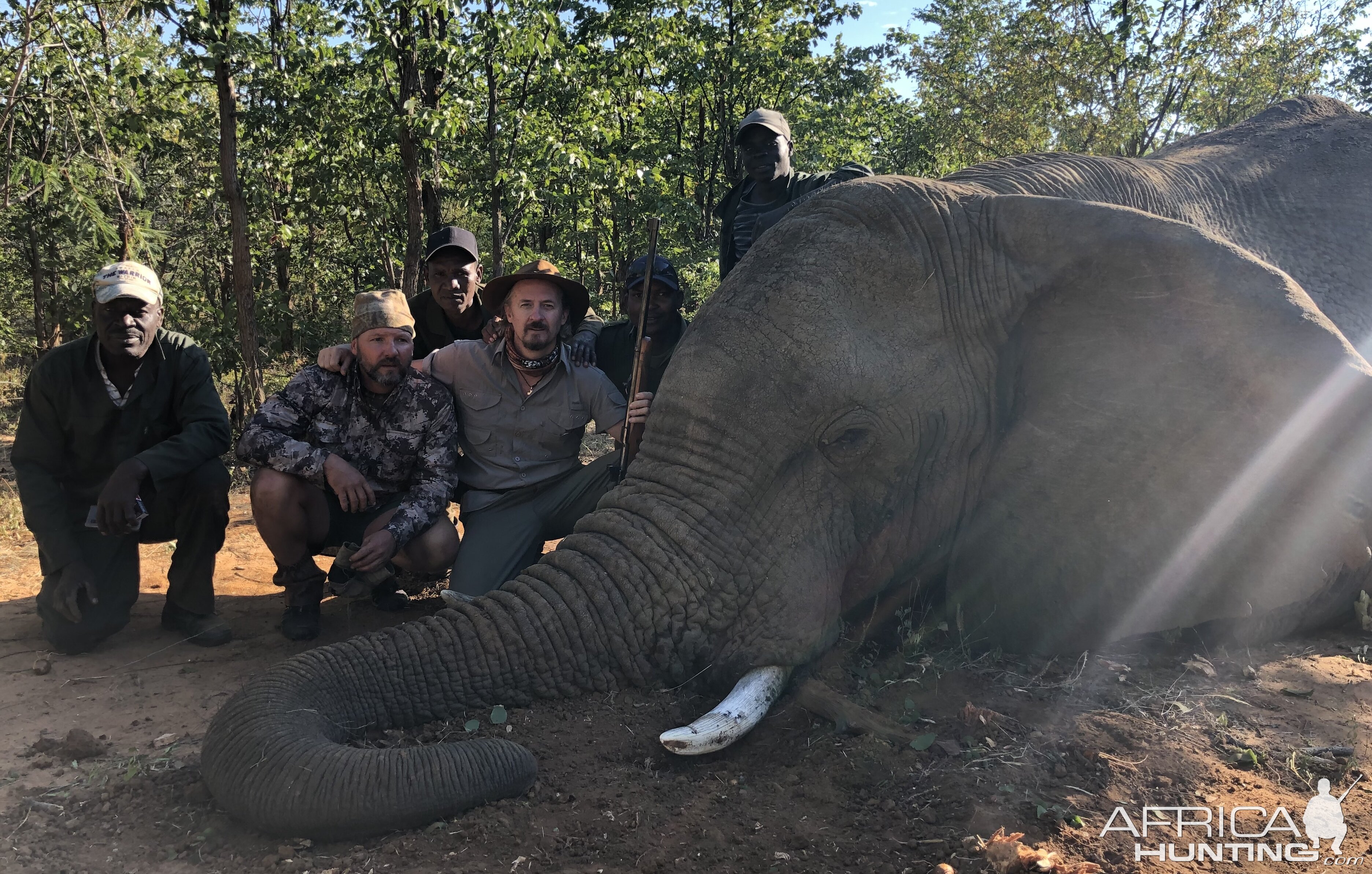 Elephant Hunt Zimbabwe