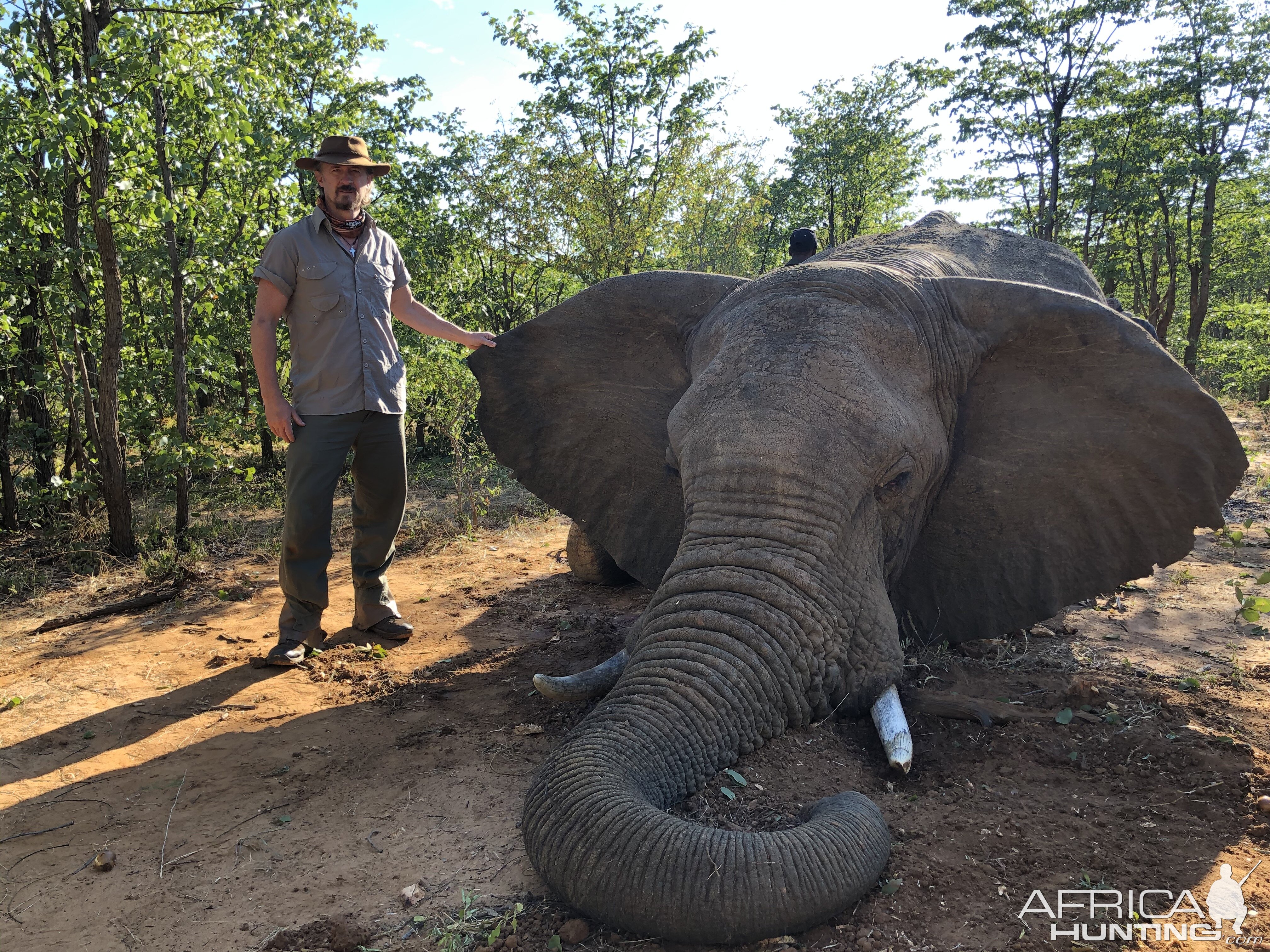 Elephant Hunt Zimbabwe