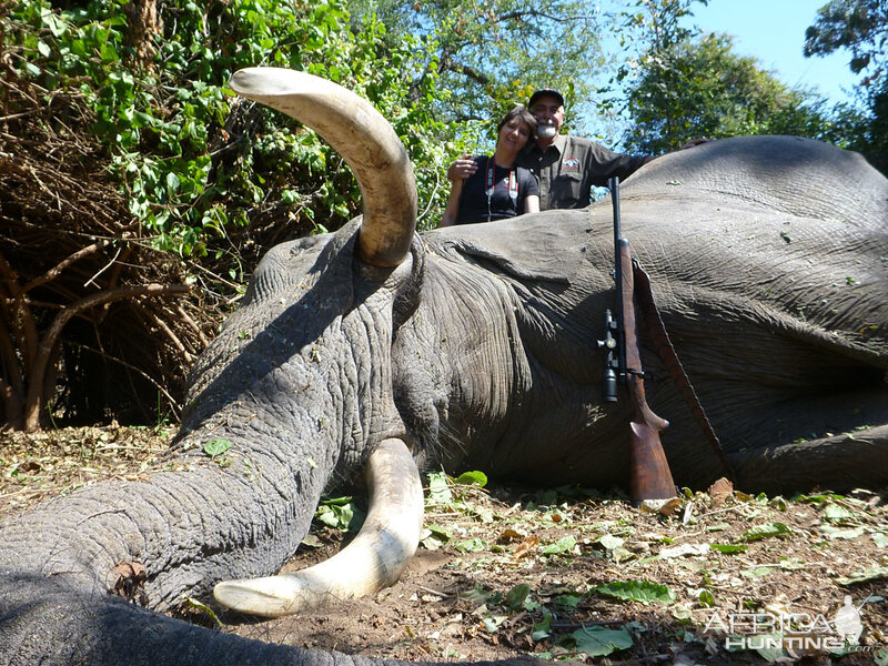 Elephant Hunt Zimbabwe